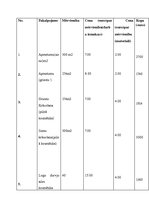 Konspekts 'Vingrošanas zāles izveide sievietēm pēcdzemdību periodā', 13.