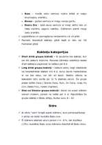 Konspekts 'Alkoholiskie dzērieni', 9.