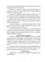 Referāts 'Informāciju tehnoloģijas Latvijā', 9.