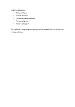 Prakses atskaite 'Transporta sistēmu inženierijas programmas studenta prakses atskaite', 9.