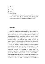 Prakses atskaite 'Transporta sistēmu inženierijas programmas studenta prakses atskaite', 22.