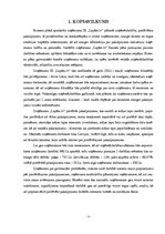 Biznesa plāns 'Uzņēmuma IK "Lapām.lv" biznesa plāns', 3.