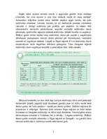 Referāts 'Demogrāfiskā situācija Latvijā', 5.