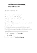 Paraugs 'Bērna aprūpes plāns', 1.