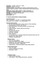 Paraugs 'Bērna aprūpes plāns', 3.