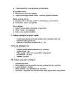 Paraugs 'Bērna aprūpes plāns', 4.