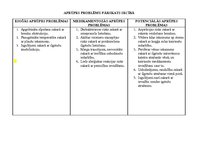 Paraugs 'Bērna aprūpes plāns', 5.