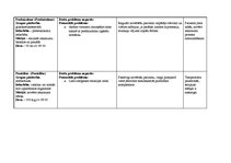 Paraugs 'Bērna aprūpes plāns', 13.