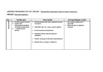 Paraugs 'Bērna aprūpes plāns', 15.