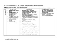 Paraugs 'Bērna aprūpes plāns', 16.