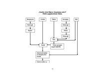 Referāts 'Sautēta vistas fileja ar šampinjonu mērci', 11.