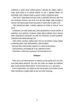 Referāts 'Sautēta vistas fileja ar šampinjonu mērci', 18.