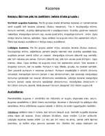 Referāts 'Kazenes', 1.