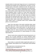 Diplomdarbs 'Pašnodarbinātās personas grāmatvedības metodikas specifiskie aspekti', 11.