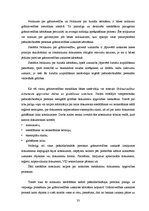 Diplomdarbs 'Pašnodarbinātās personas grāmatvedības metodikas specifiskie aspekti', 33.