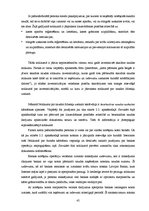 Diplomdarbs 'Pašnodarbinātās personas grāmatvedības metodikas specifiskie aspekti', 45.