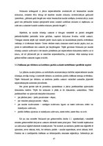 Diplomdarbs 'Pašnodarbinātās personas grāmatvedības metodikas specifiskie aspekti', 47.