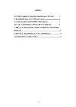 Referāts 'Sociālā darbinieka profesijas darbības principi', 2.