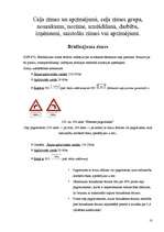 Diplomdarbs 'Braukšanas ātrums un redzamība', 10.