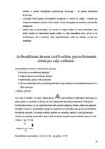 Diplomdarbs 'Braukšanas ātrums un redzamība', 26.