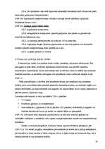 Diplomdarbs 'Braukšanas ātrums un redzamība', 29.