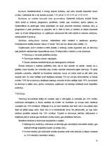 Referāts 'Uzņēmumu (iestāžu, organizāciju) pašreklāma', 14.