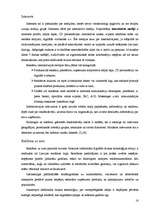 Referāts 'Uzņēmumu (iestāžu, organizāciju) pašreklāma', 16.