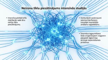 Prezentācija 'Kādēļ studenti aizmirst pēc eksāmeniem?', 9.