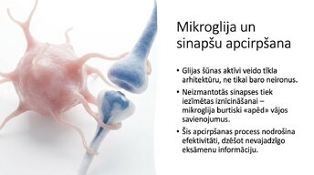 Prezentācija 'Kādēļ studenti aizmirst pēc eksāmeniem?', 11.