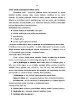 Prakses atskaite 'Pretendentu izvērtēšanas kritēriji personāla atlasē', 20.