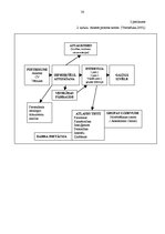 Prakses atskaite 'Pretendentu izvērtēšanas kritēriji personāla atlasē', 30.