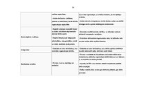 Prakses atskaite 'Pretendentu izvērtēšanas kritēriji personāla atlasē', 36.