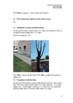 Paraugs 'Tehniskās apsekošanas atzinums', 4.