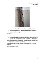 Paraugs 'Tehniskās apsekošanas atzinums', 20.