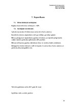 Paraugs 'Tehniskās apsekošanas atzinums', 24.