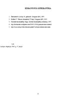 Referāts 'Otrais pasaules karš', 15.