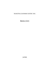 Diplomdarbs 'Daugavpils izaugsmes faktori 19.gadsimtā', 1.