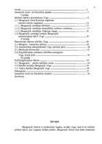 Diplomdarbs 'Daugavpils izaugsmes faktori 19.gadsimtā', 2.