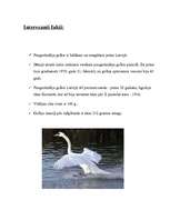 Konspekts 'Paugurknābja gulbis', 4.