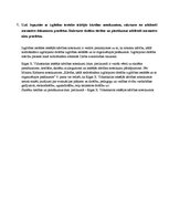 Prakses atskaite 'Skolvadības prakses atskaite', 17.