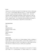 Konspekts 'Koki', 5.