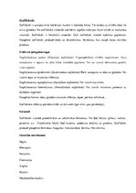 Konspekts 'Koki', 8.