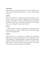 Konspekts 'Koki', 9.