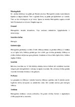 Konspekts 'Koki', 11.