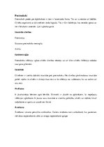 Konspekts 'Koki', 13.