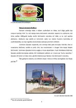 Referāts 'Globalizācijas raksturojums un piemēru analīze', 9.