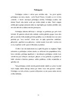 Referāts 'Psiholoģijas vēstures aspekti un virzieni', 13.