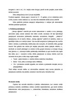 Referāts 'Unikāla produkta ieviešana tirgū', 8.