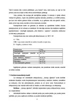 Referāts 'Unikāla produkta ieviešana tirgū', 11.