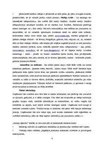 Referāts 'Unikāla produkta ieviešana tirgū', 12.